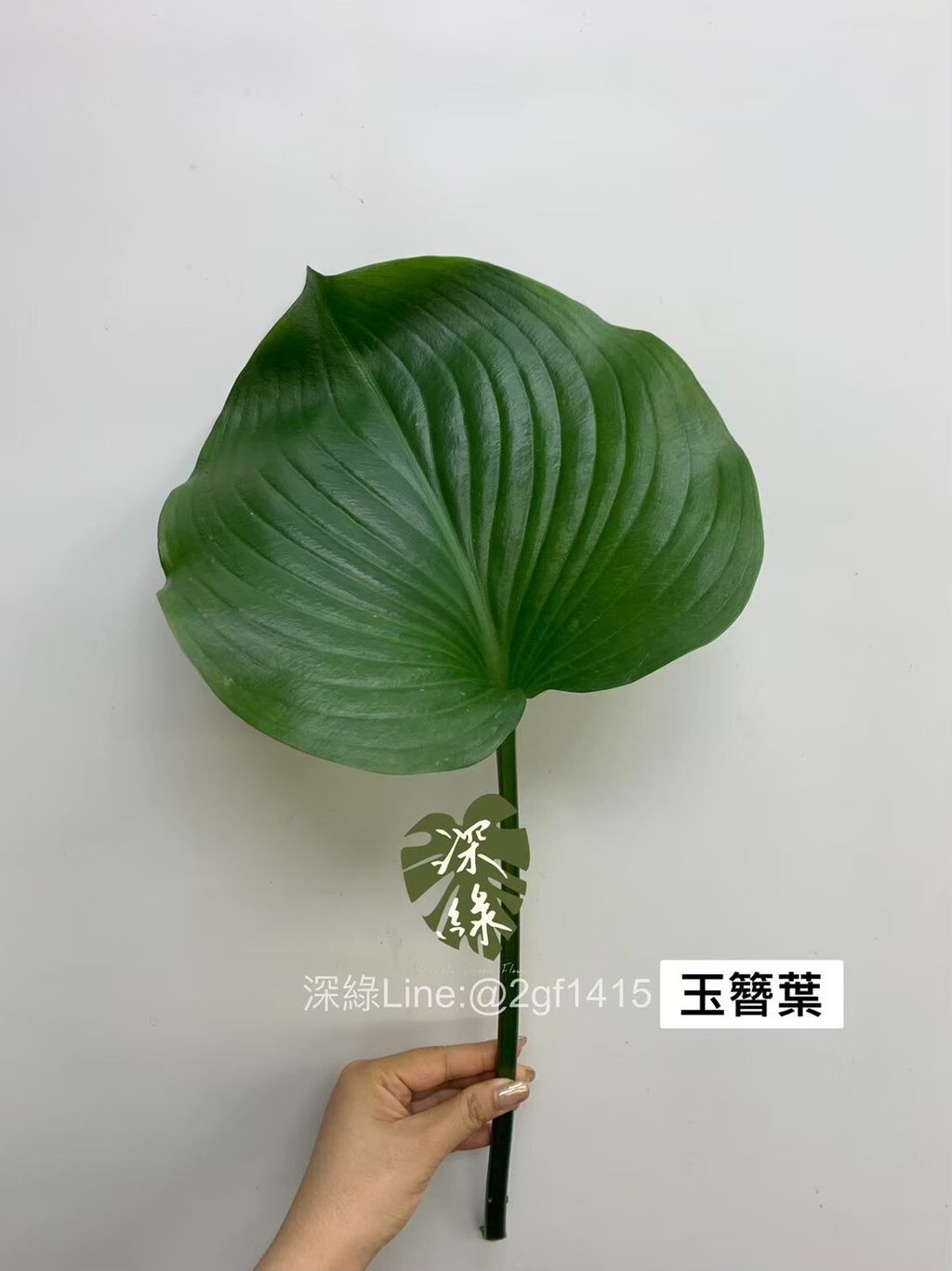 4927449066132121765.f129b3861020a74c395176b18874da64.23091516