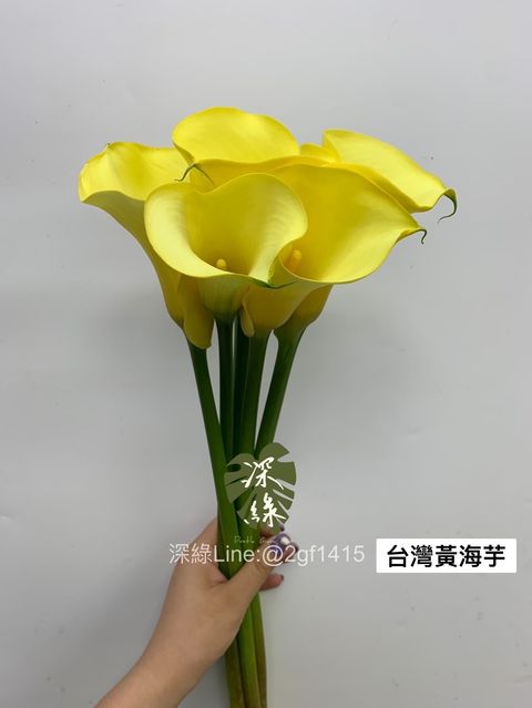 B2B4BB7A-0B7D-4630-92CE-1A77C143F9E4