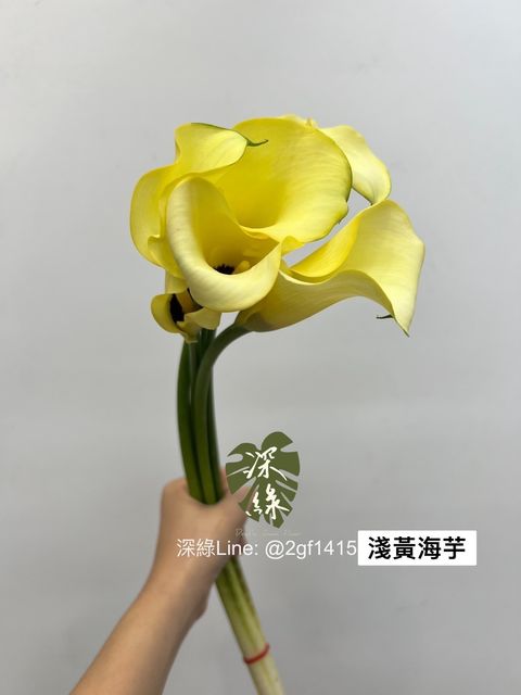 4A25429E-78EF-416F-A0B4-436574C10584