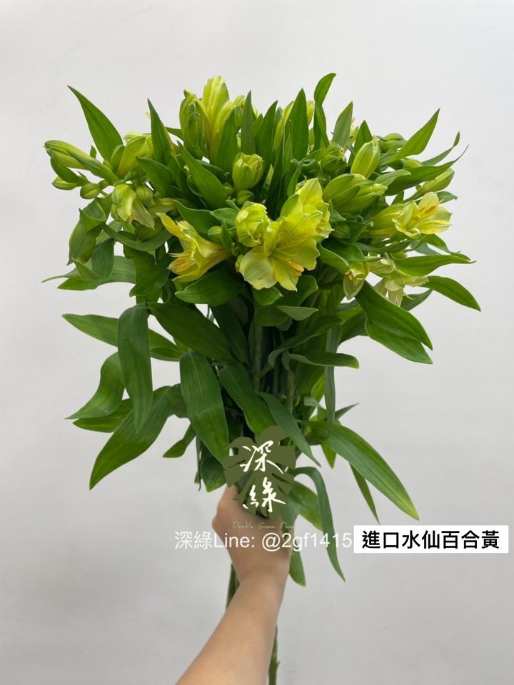 S__3104784