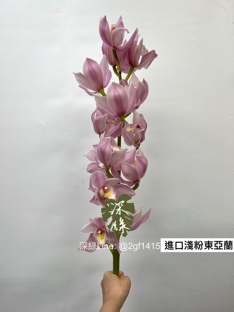 S__3113087