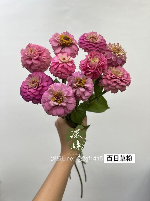 S__3227707
