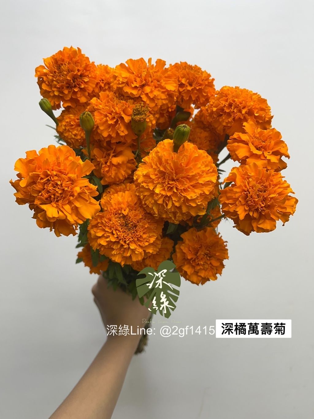 S__3227709