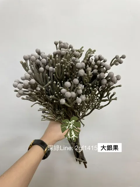 1446F1BA-E6BF-41A0-8454-AA6DD95B4B62