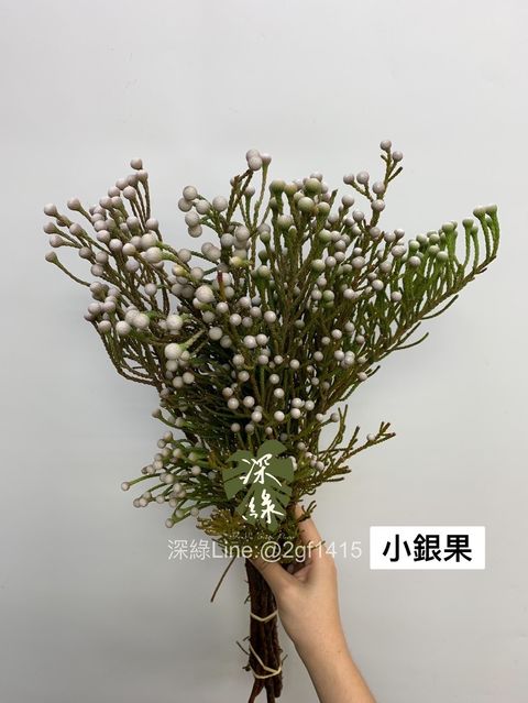 11BEE6FF-58FD-47A5-8E6C-73A1AAB7CC8B