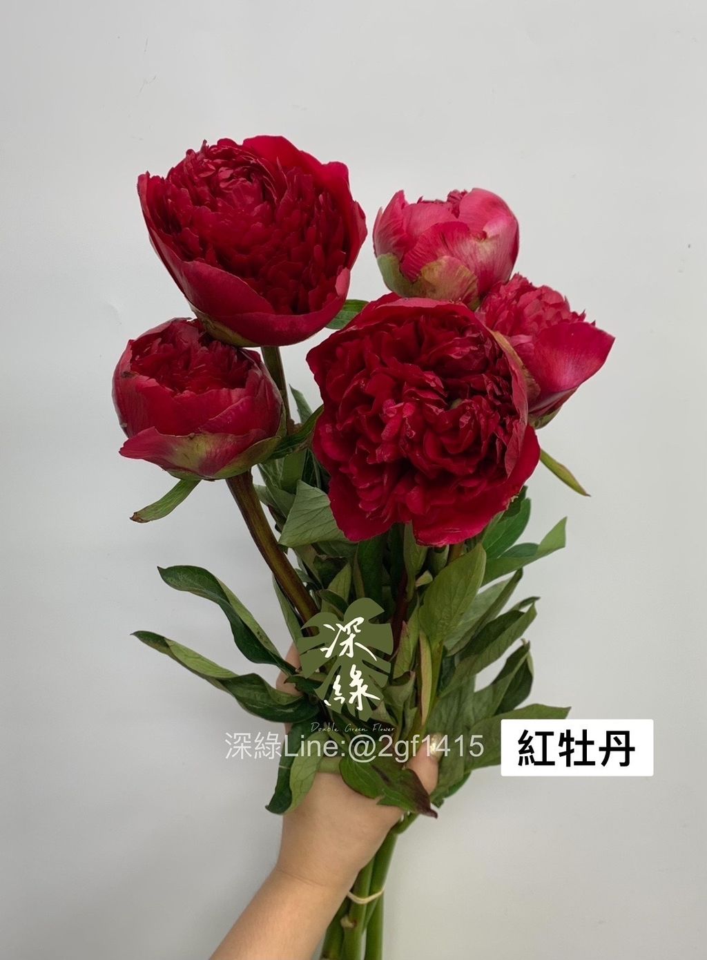 96CD2FC6-A7FA-4E10-9683-5835D3DE57A3