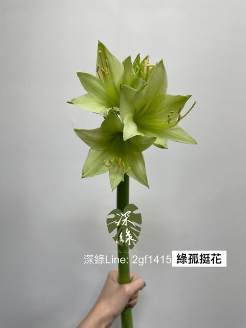 E1D81E71-2226-42A1-BC91-FD7D848DAEB9-L0-001