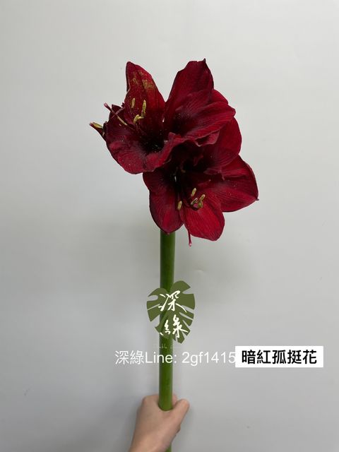 42312D5F-13C1-4E25-9E16-559102864100