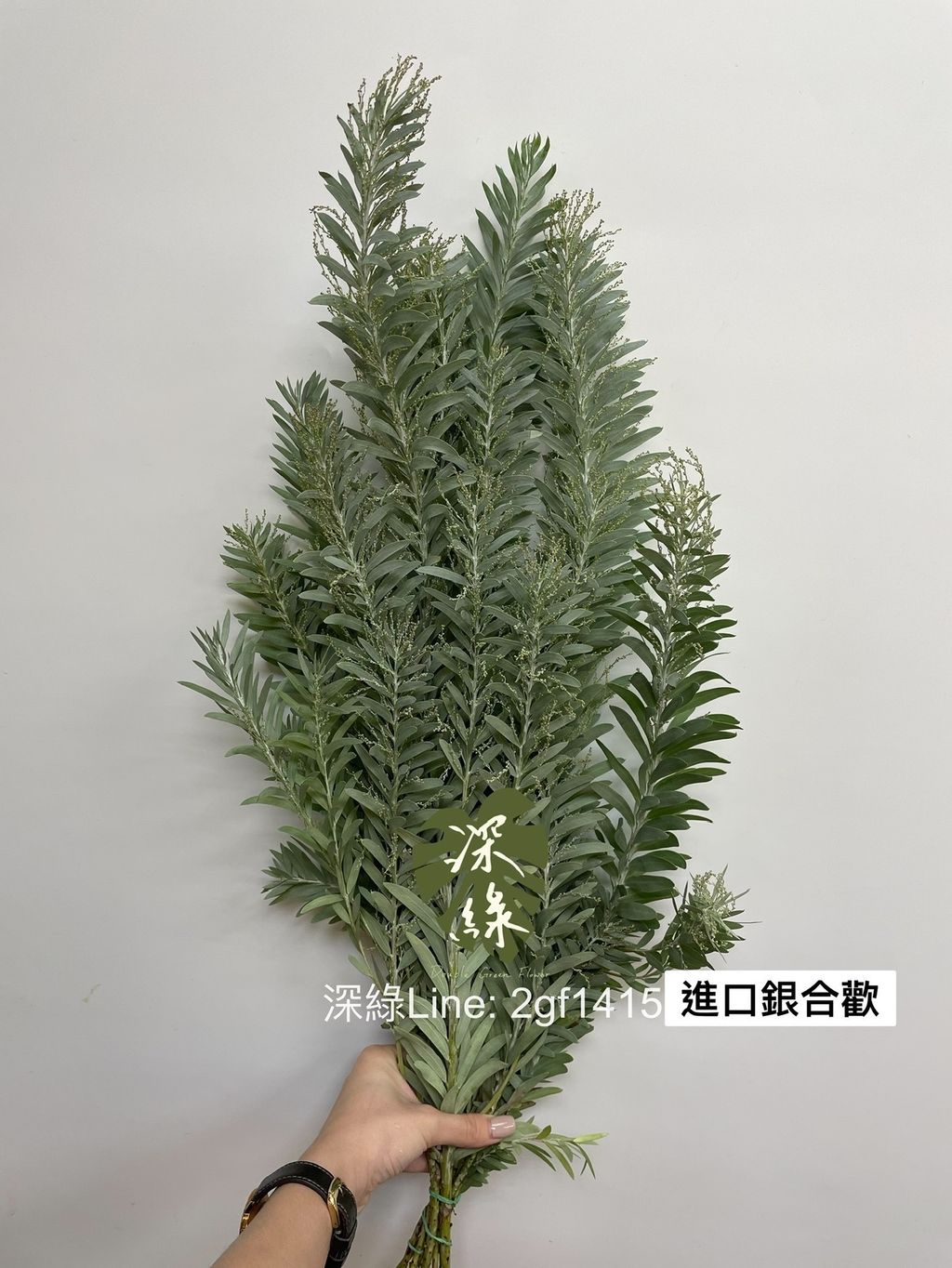 35C5270D-507F-4FC8-BBF4-23538CE57CD9