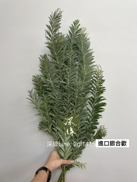 35C5270D-507F-4FC8-BBF4-23538CE57CD9