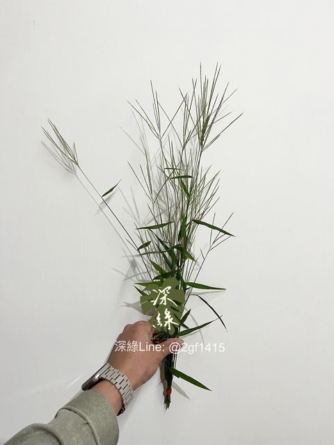 eZy Watermark_12-11-2023_11-25-00-9880下午