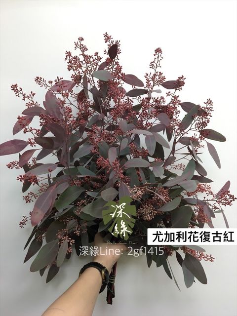 FBFCDB04-6F53-49EB-851C-962C35ECB15D