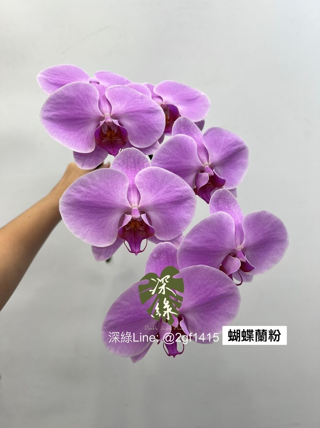 S__3293229(1)