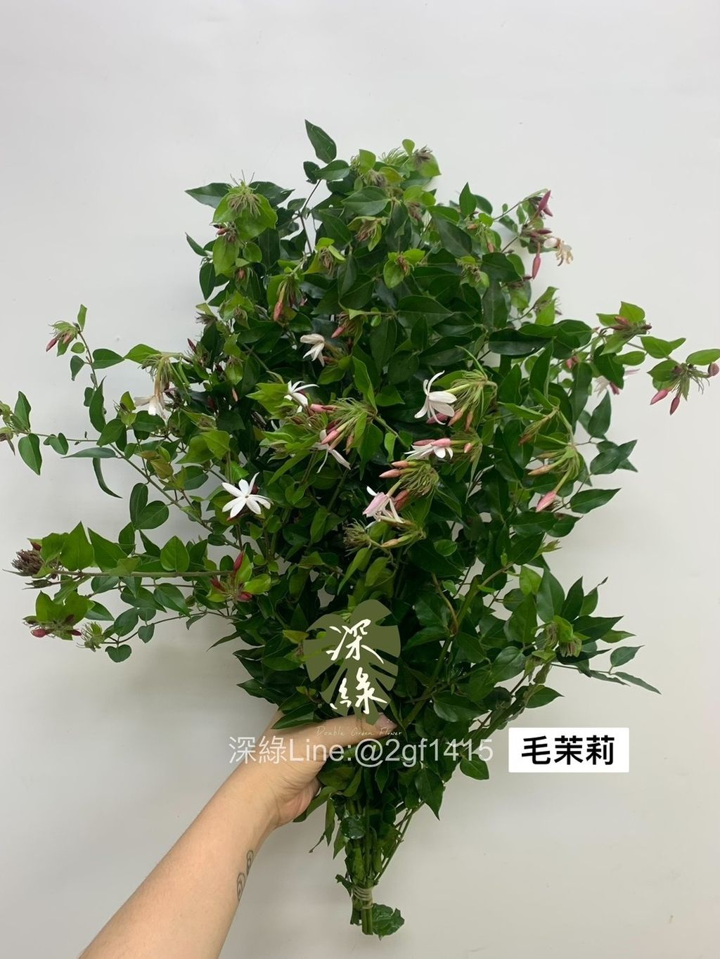 S__3367154
