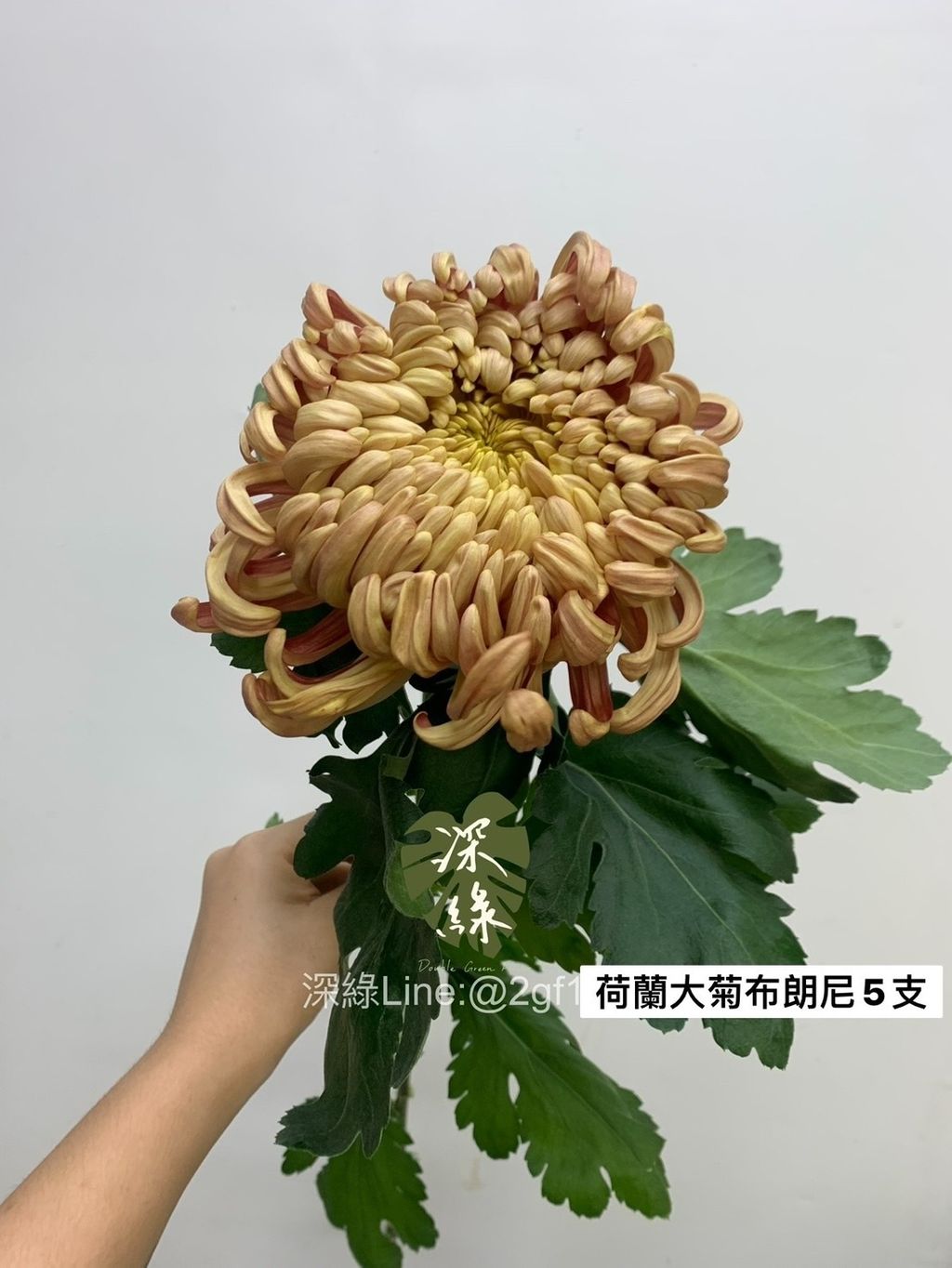 S__3367151