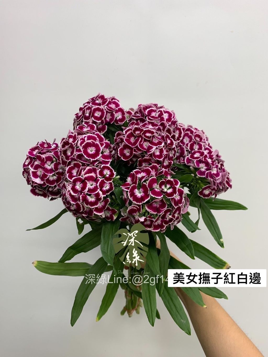 IMG_5631-1701248228182