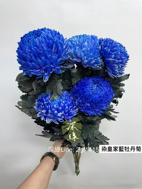 AEEB6068-31F4-4F1A-8EB3-462F28A81958