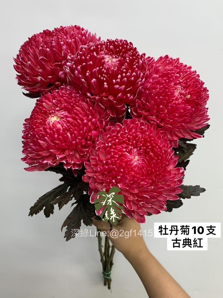 65D6769C-BA57-4BFB-86B5-2D2AA21FB2B2