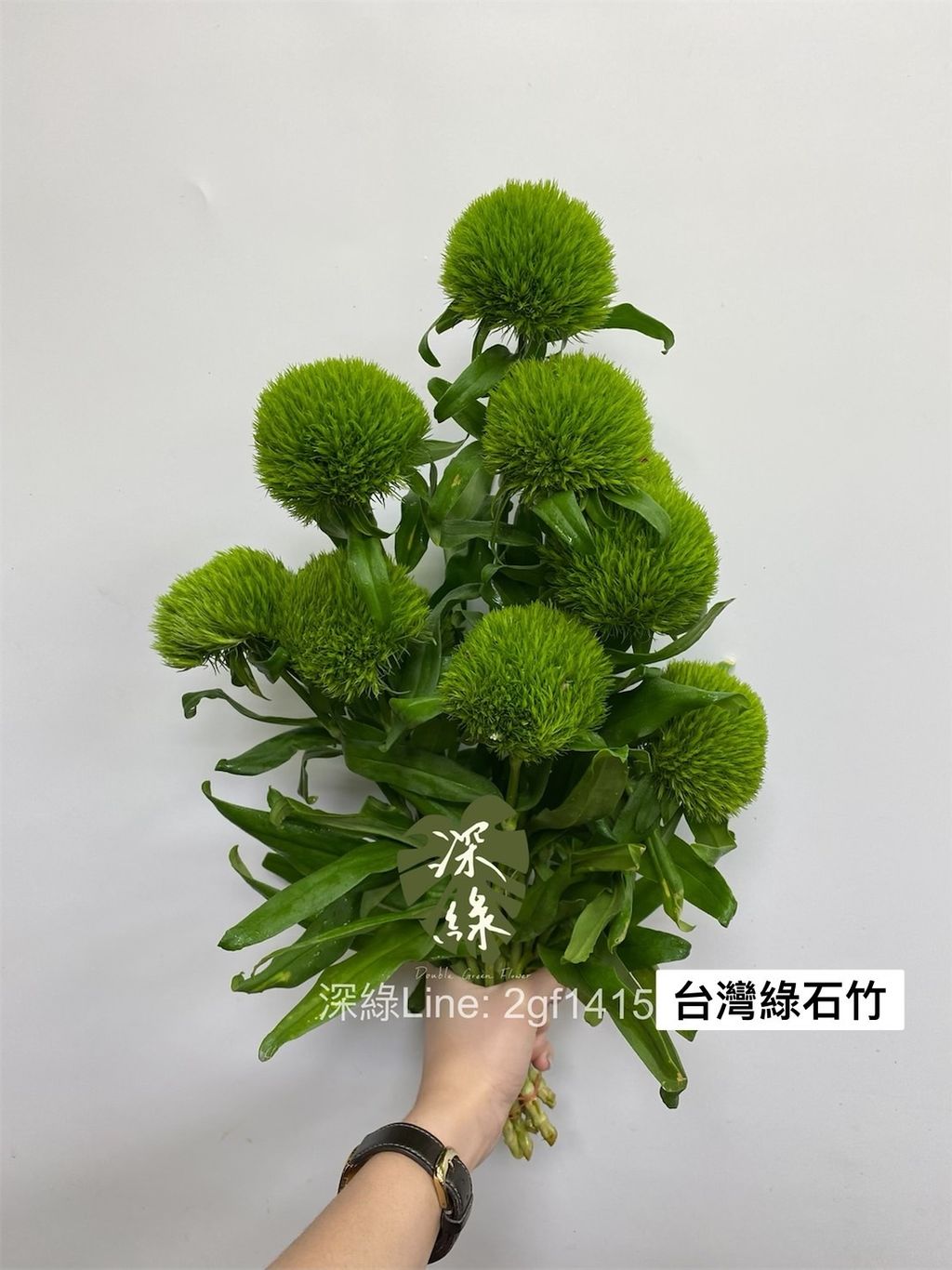 S__3432706