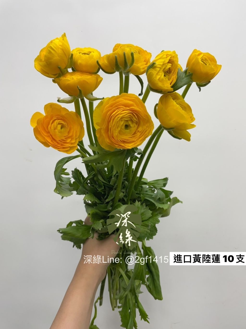 S__3457098