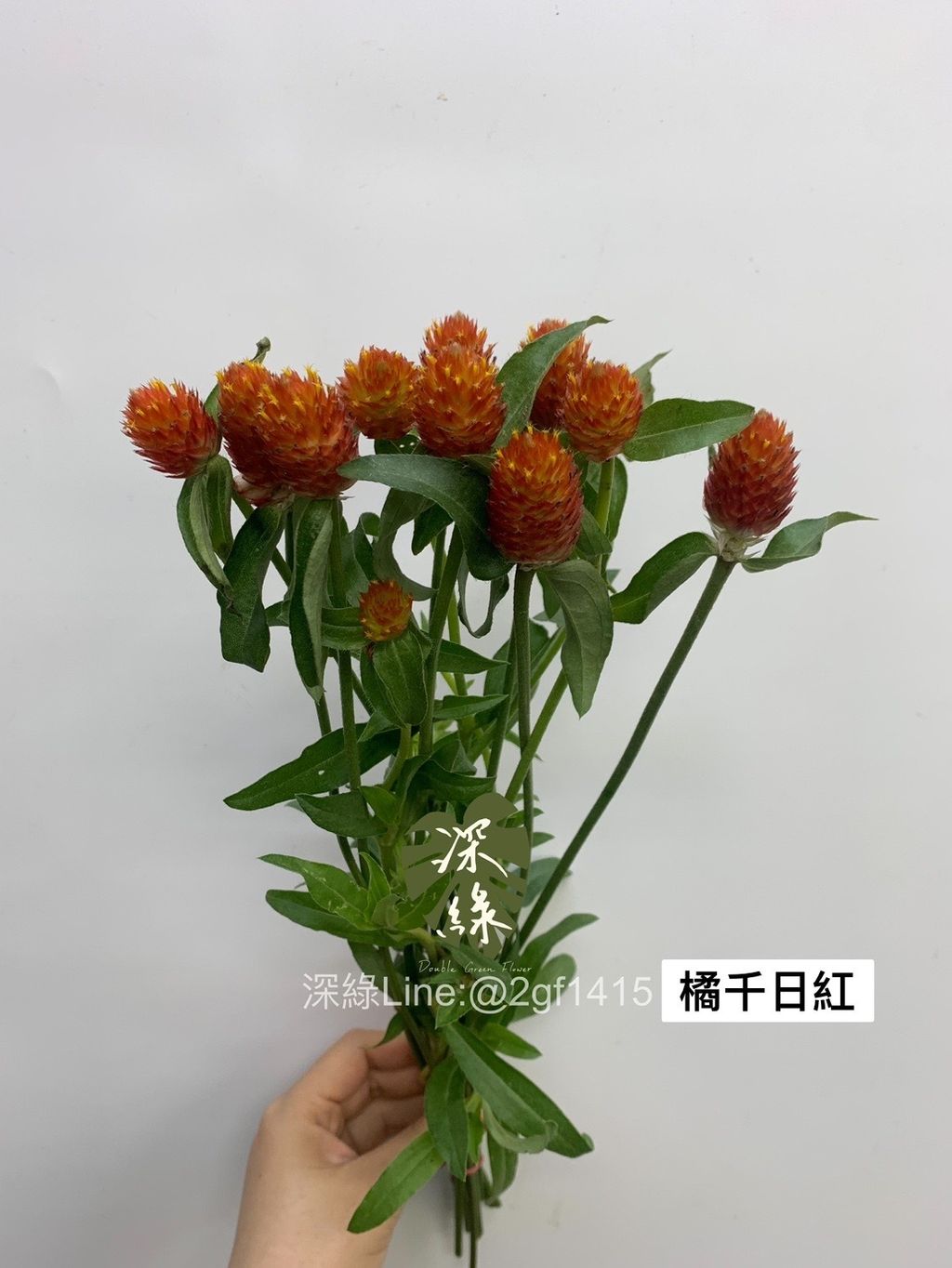 8B4D7844-63F6-4AA4-9E88-C3A6CF49B62A