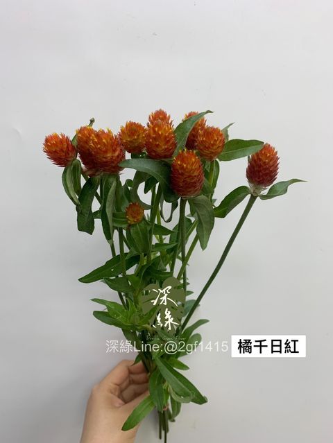 8B4D7844-63F6-4AA4-9E88-C3A6CF49B62A