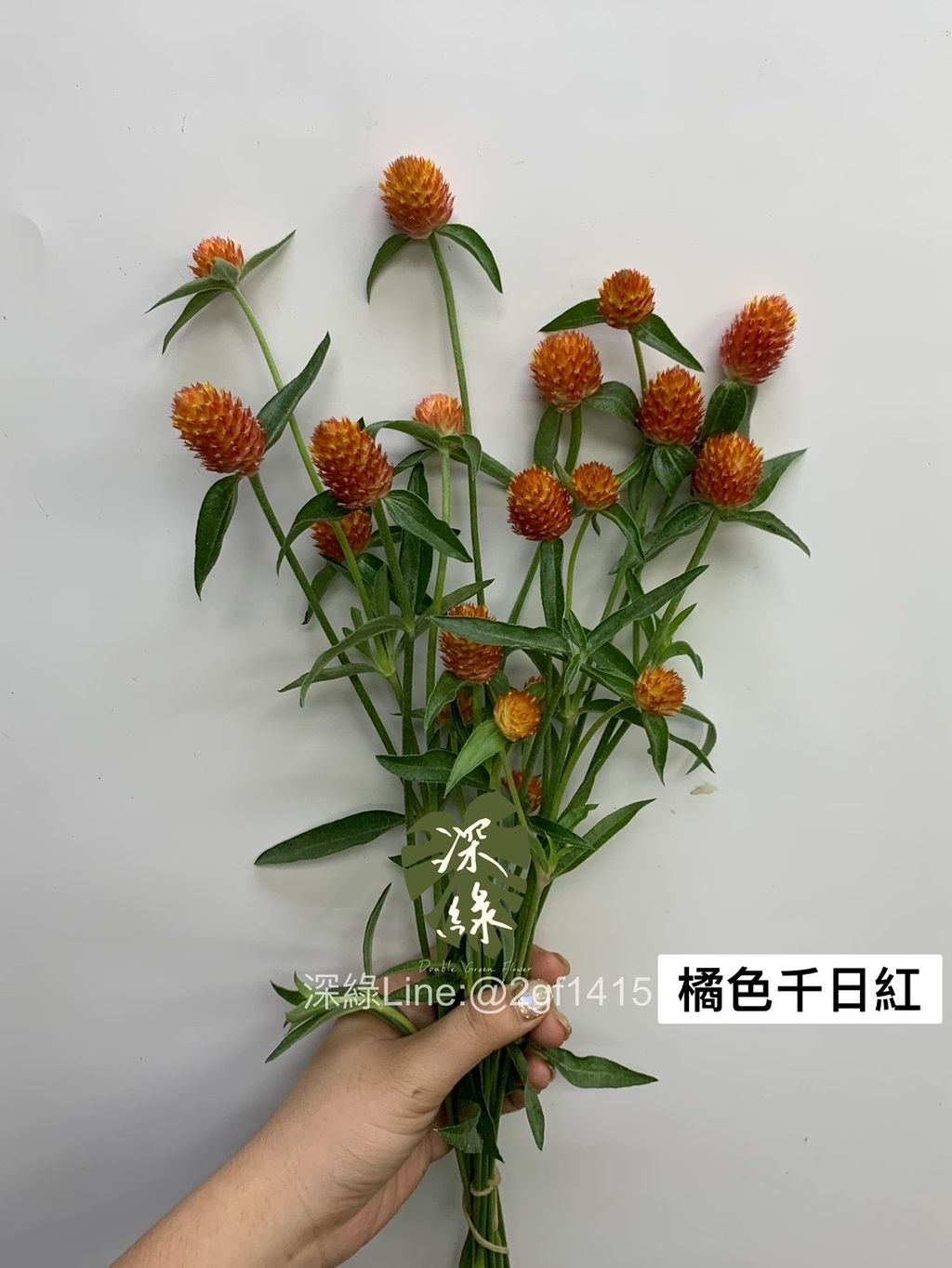 BECF18A0-D40E-4B87-B186-43DB7CAEBF8D
