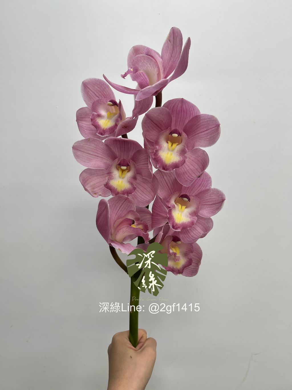 eZy Watermark_06-12-2023_01-57-38-6360下午-1701842450576