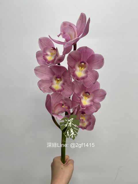 eZy Watermark_06-12-2023_01-57-38-6360下午-1701842450576