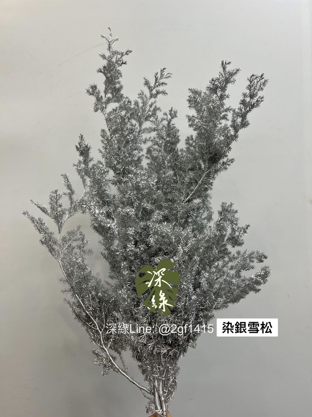 image_1BD6317F-0C24-4BD9-9D0D-6E9A7B8D8B77_1764137443