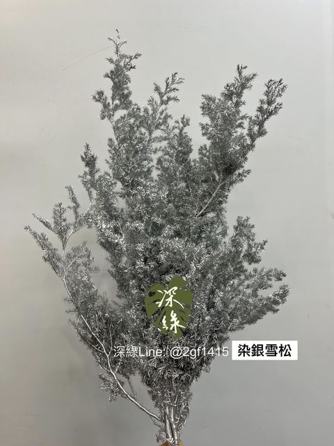 image_1BD6317F-0C24-4BD9-9D0D-6E9A7B8D8B77_1764137443