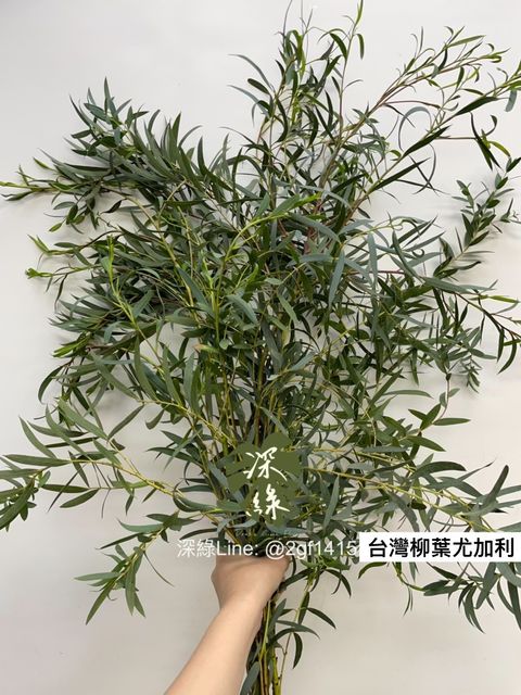 S__3522592