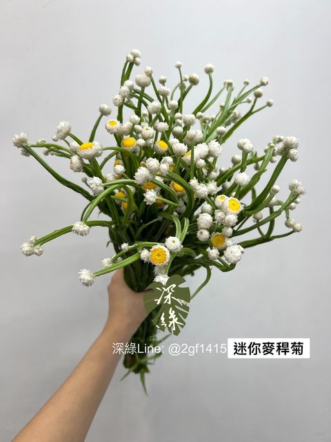 IMG_9072-1702468013583