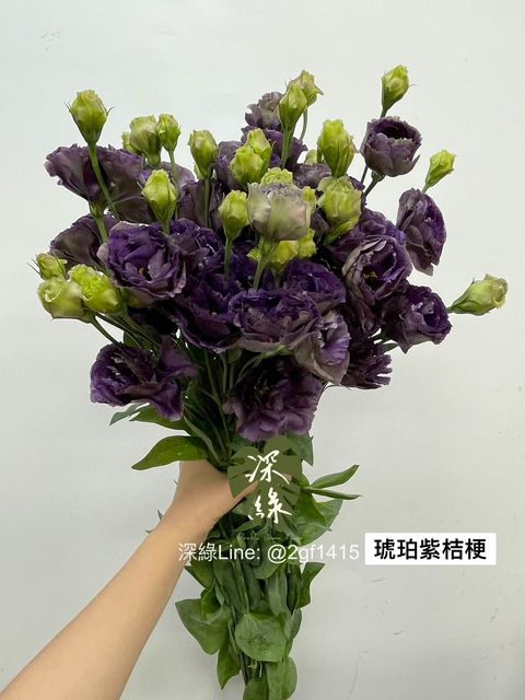S__3563559
