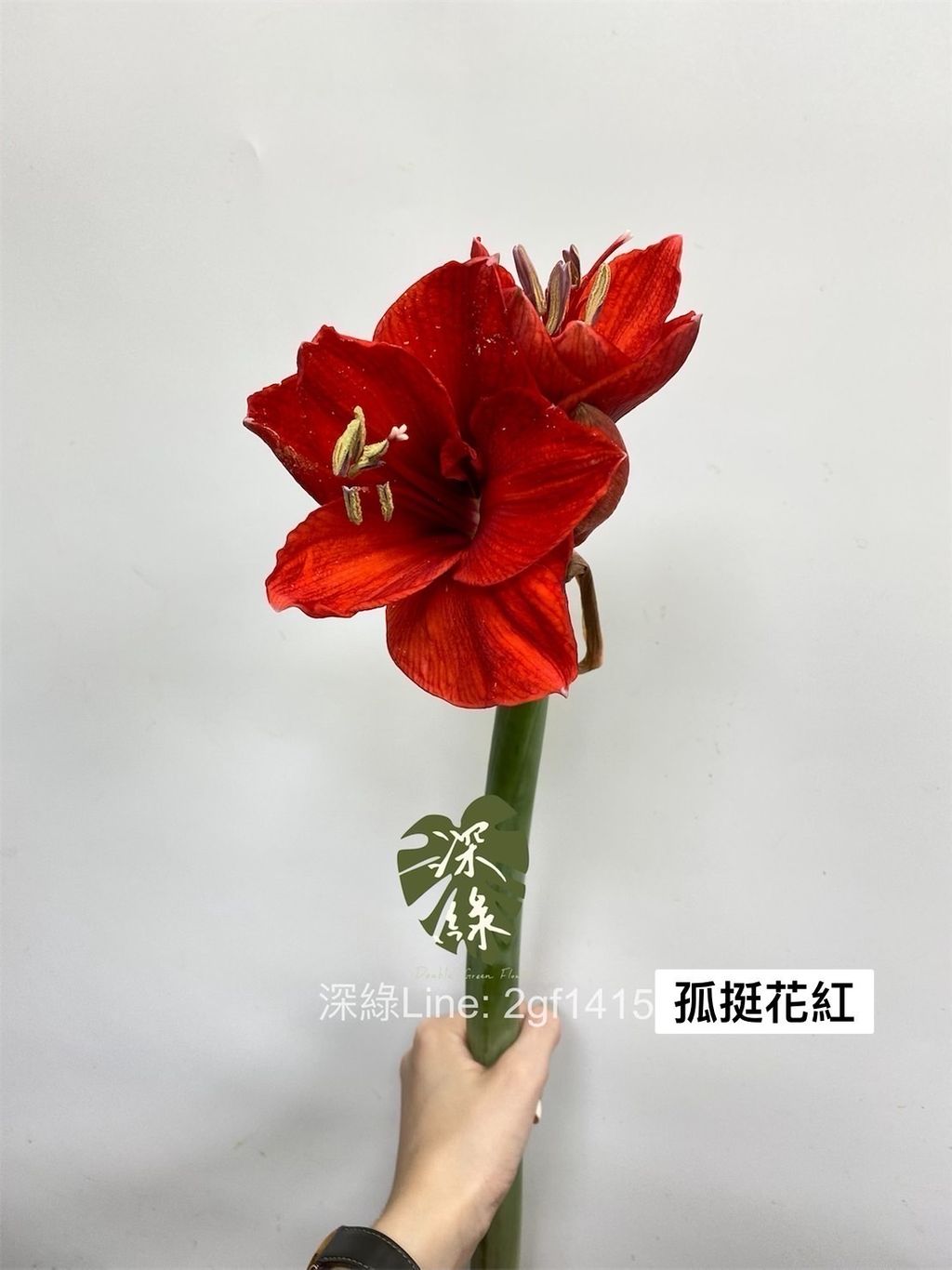 B67B249F-A428-4294-9BB5-90D5FC8D4D72