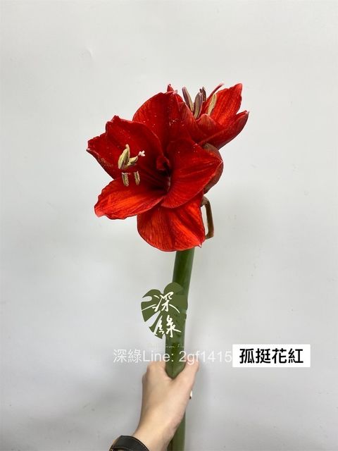 B67B249F-A428-4294-9BB5-90D5FC8D4D72