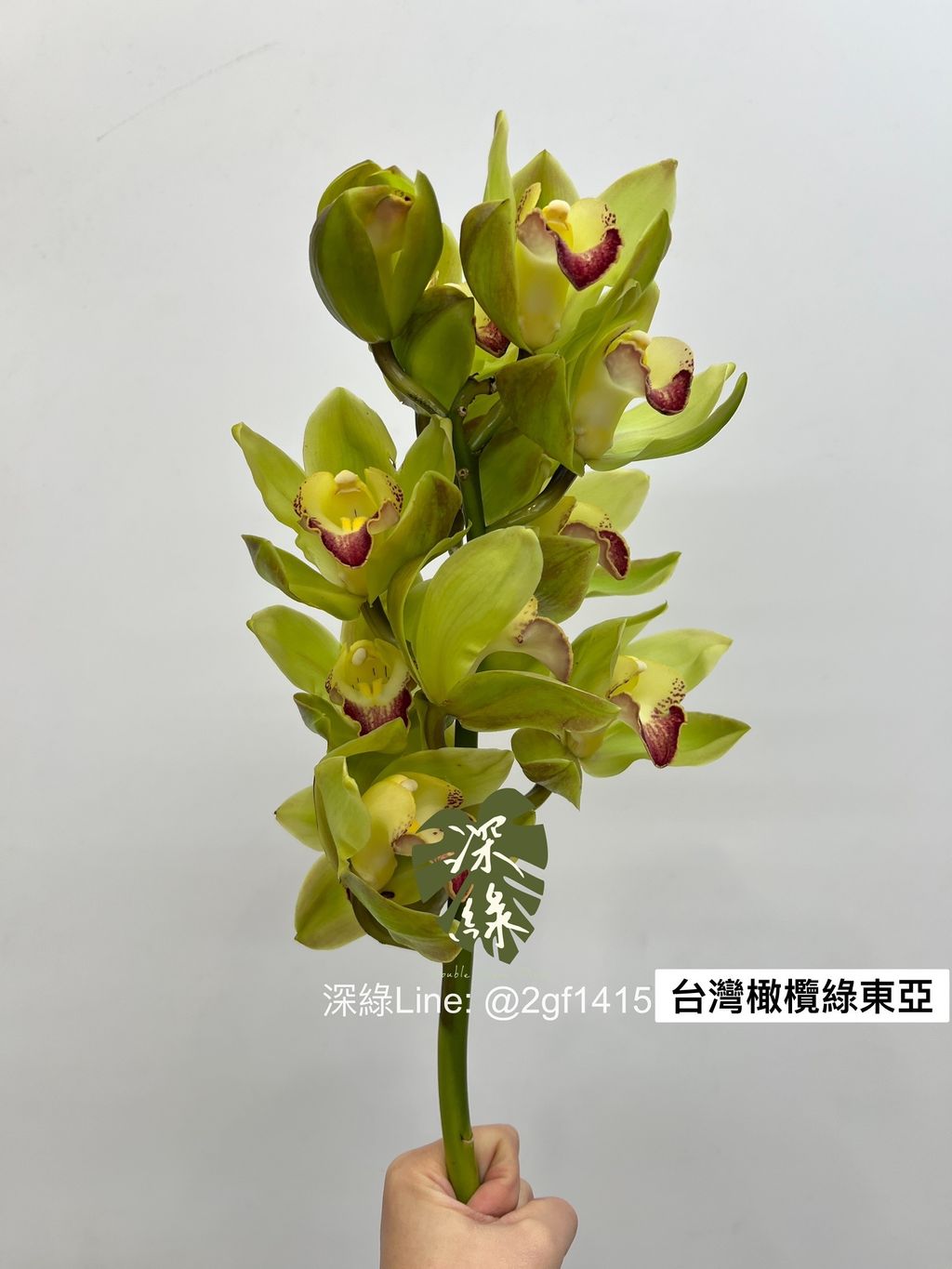 IMG_9891-1703570931354