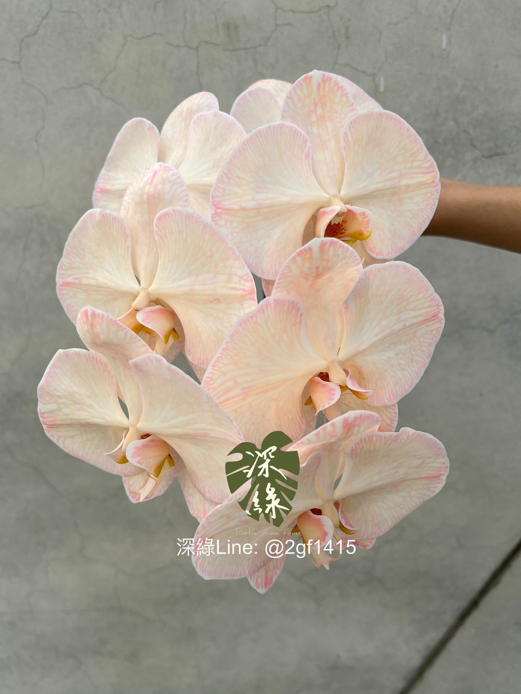 eZy Watermark_27-12-2023_04-11-12-9030下午-1703664761394