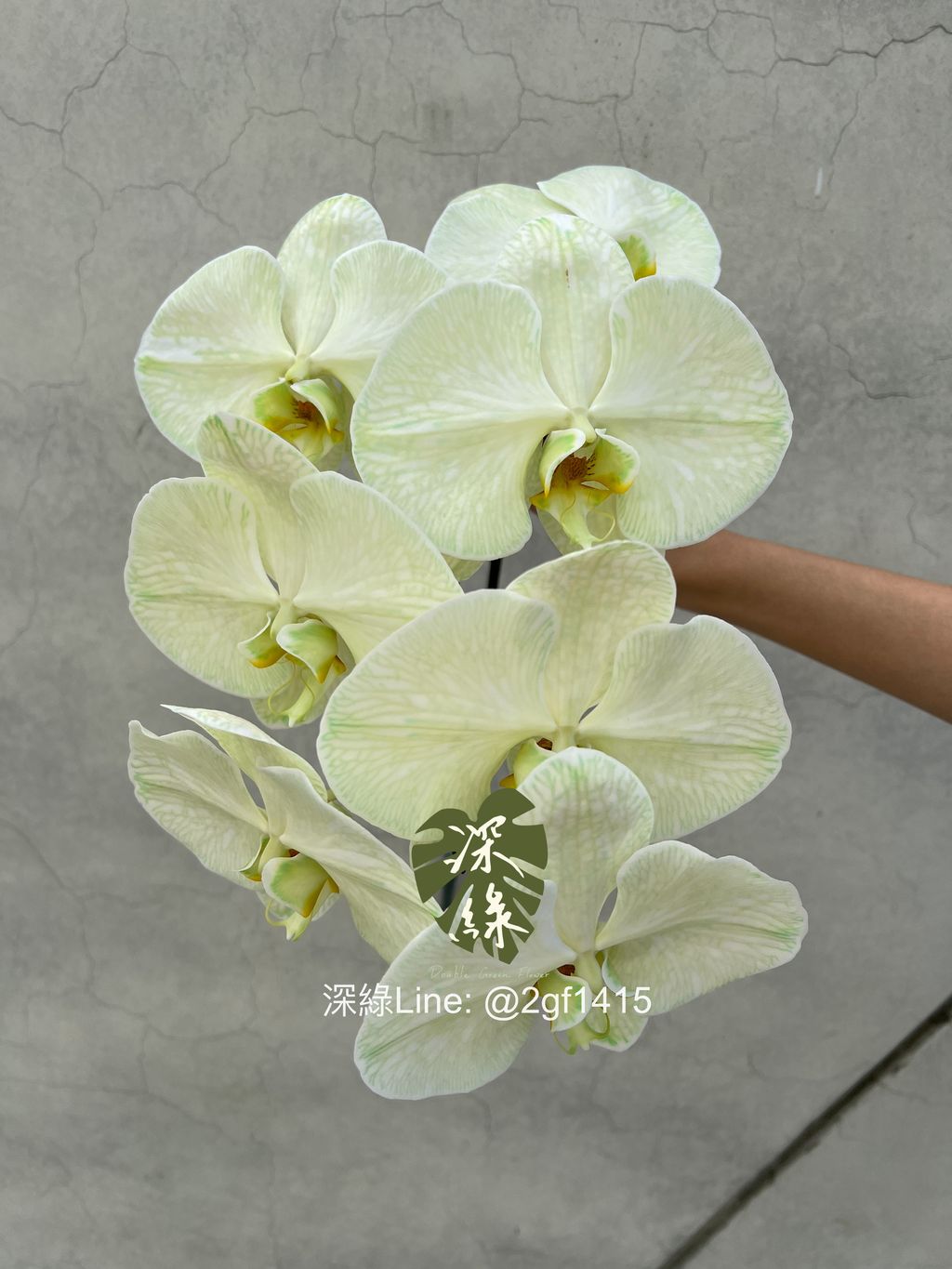 eZy Watermark_27-12-2023_04-11-13-2760下午-1703664854345