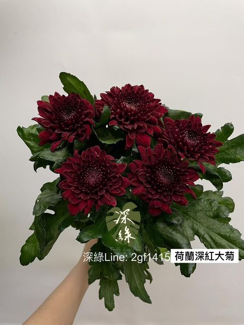 4834268334801910106.3755193bb05e494291a0f5c021f2a45d.23010312