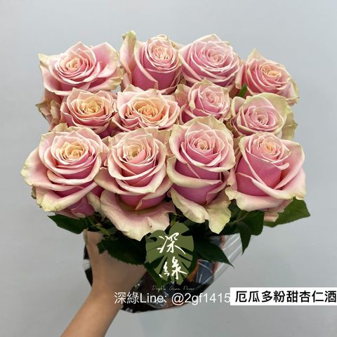 IMG_0538-1704276549996