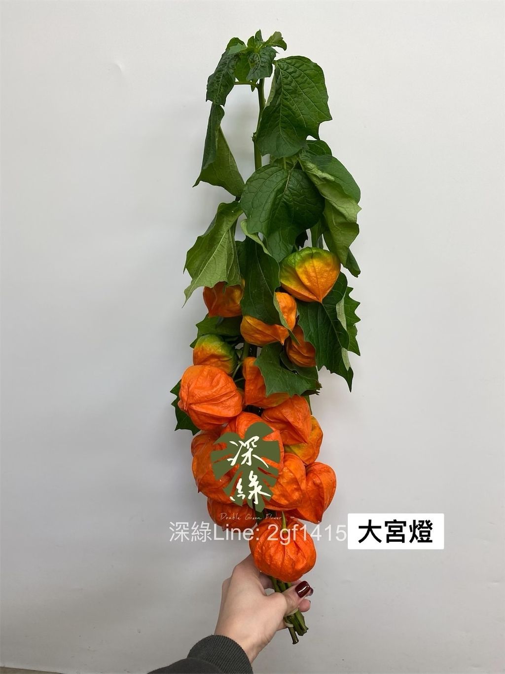 IMG_7237-1704413221083