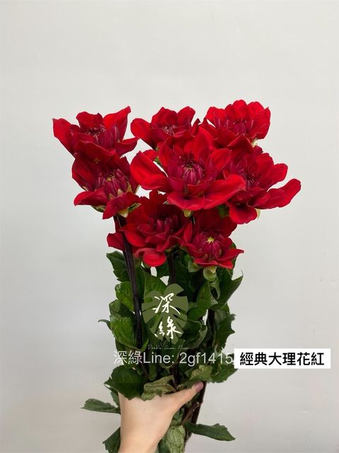 IMG_7238-1704413554684