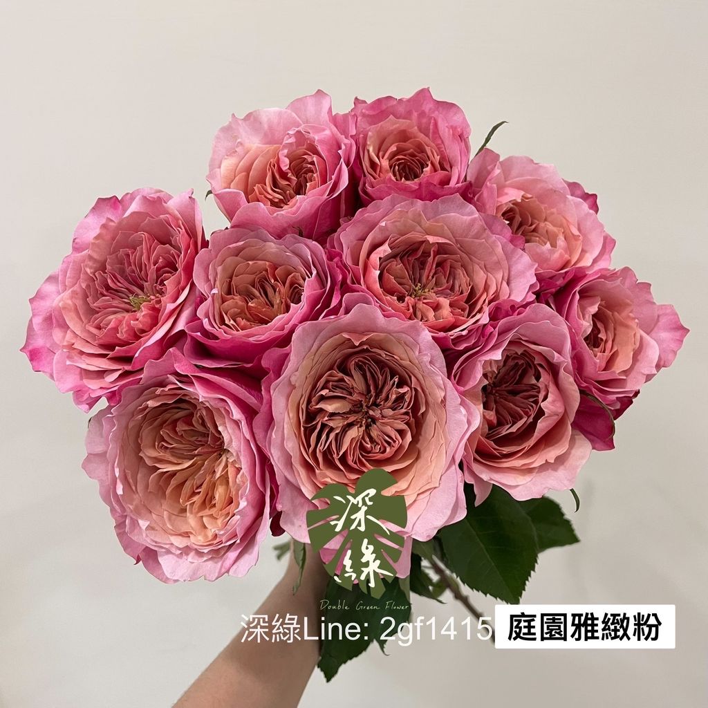 C49BF204-A858-44F4-93B3-B88929E022EF