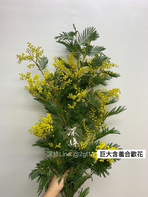 99B6BB24-2B93-43A7-A6C6-32B8CF2D9997