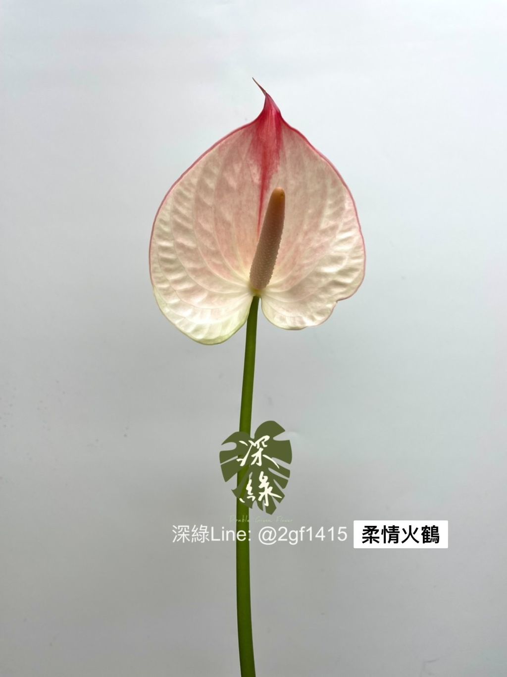 S__3948607