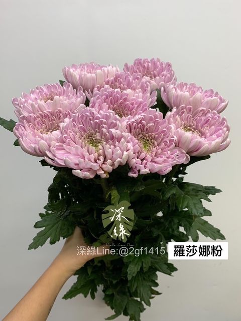 0BB53F2A-2DB7-4A07-8A54-6A23F910F41E