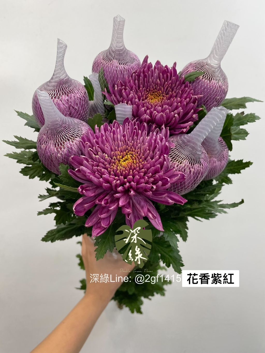 IMG_7398-1704775047128