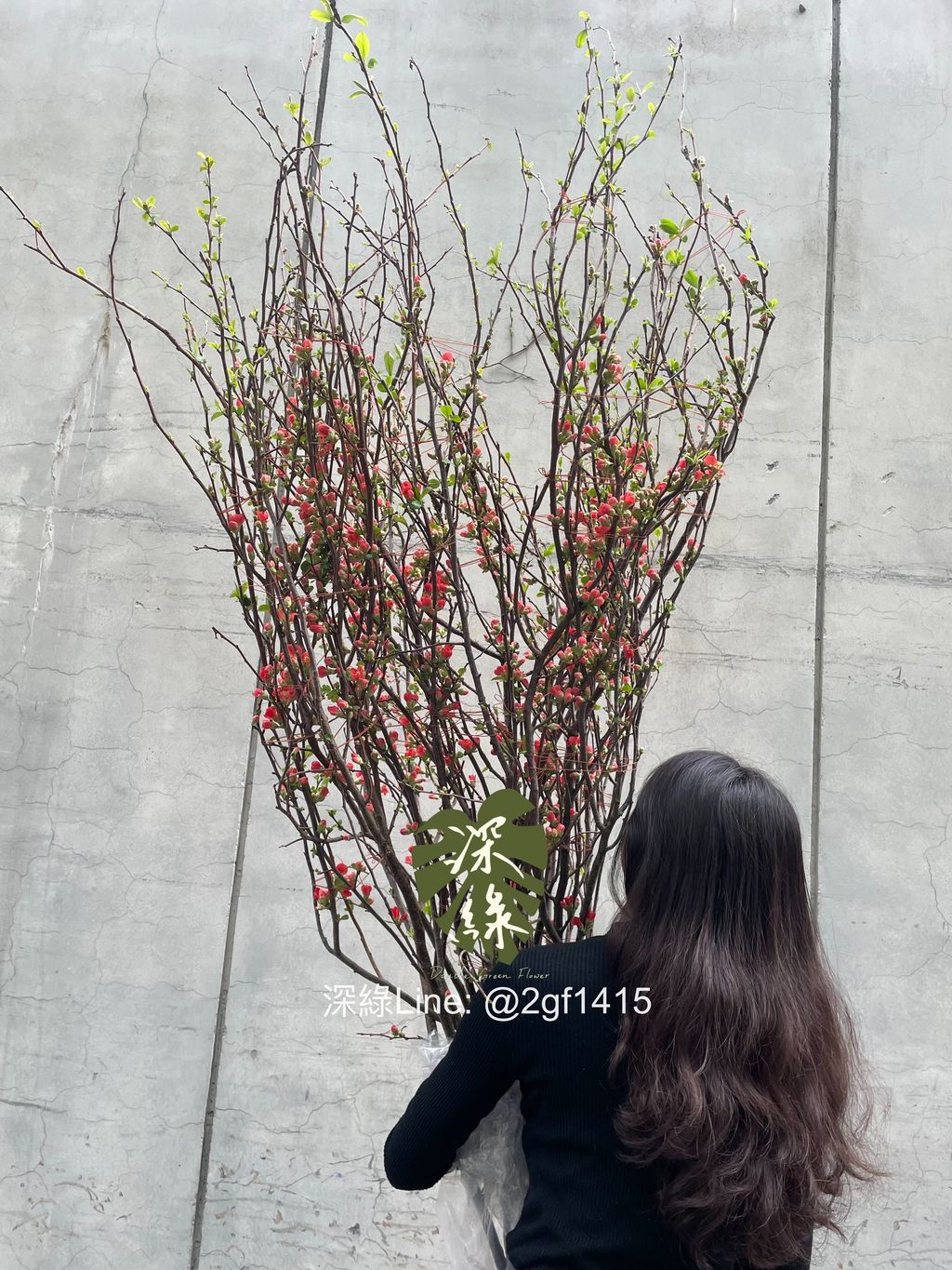 eZy Watermark_10-01-2024_12-32-27-0330下午-1704861248973