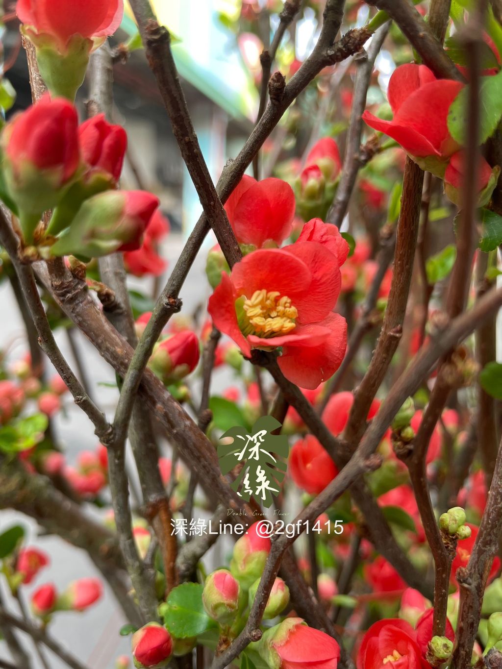 eZy Watermark_10-01-2024_12-32-27-6440下午-1704861263510